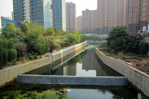 济南市兴济河生态治理蘑菇视频