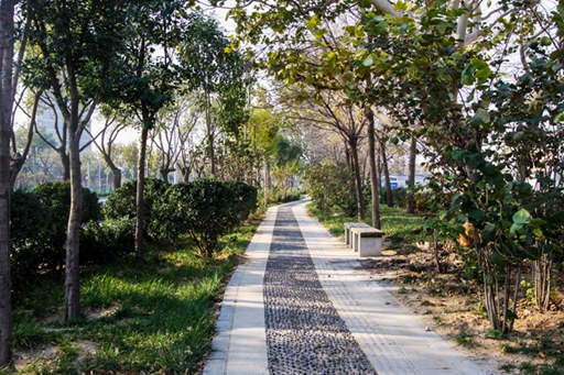 济南市济齐路道路改造蘑菇视频（二环西路~黄岗路）