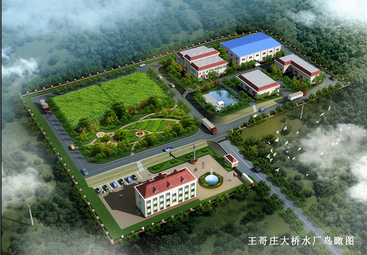 崂山区王哥庄大桥水厂蘑菇视频1