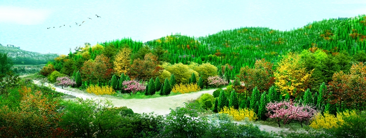济南市高新区小龙堂周边山体绿化一期蘑菇视频