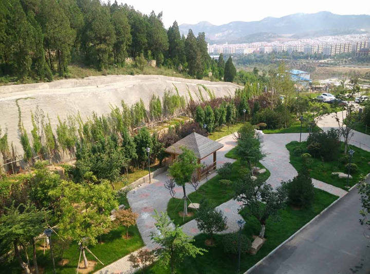 蘑菇视频
两项蘑菇视频荣获“济南市园林绿化优质蘑菇视频”奖