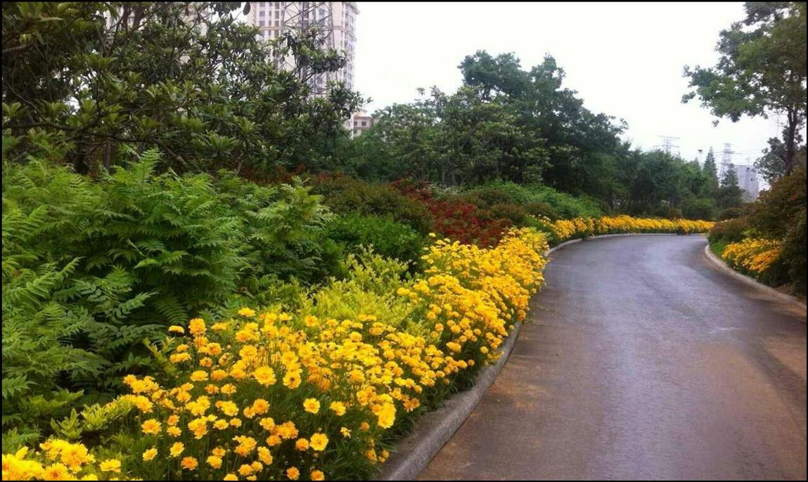 蘑菇视频
五项蘑菇视频荣获“济南市园林绿化优秀规划设计”奖